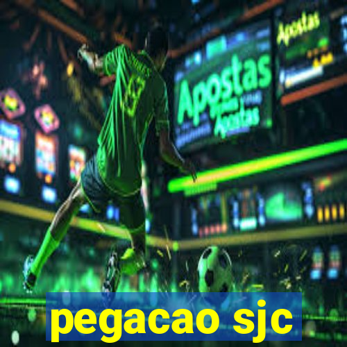 pegacao sjc